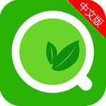 绿茶手机浏览器Android版