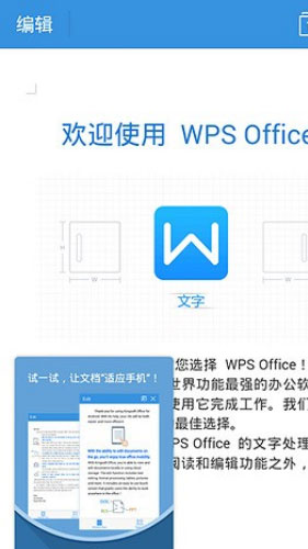 wps偷跑版图五