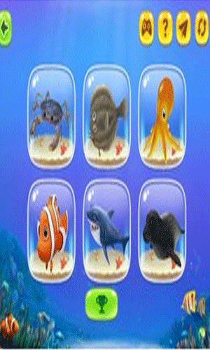 3D动物海洋版