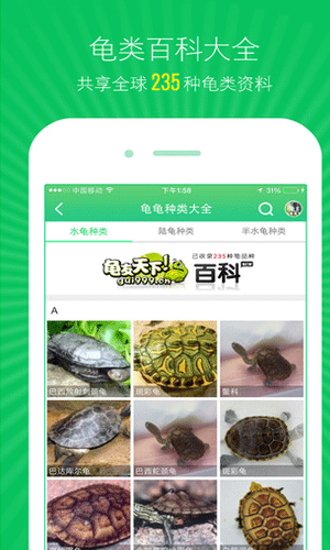龟友天下APP即时聊天截图三