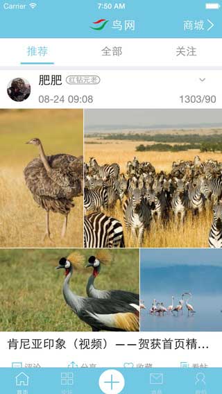鸟网app影像工具截图五