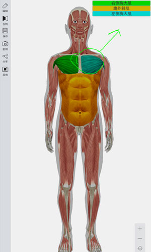 3d人体模型app健康护理截图三