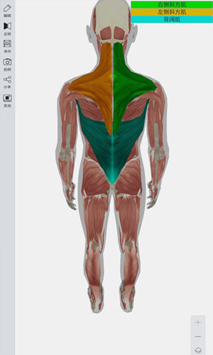 3d人体模型app健康护理截图一