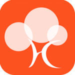 黄花树app