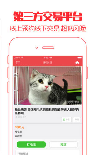 猫咪之家app网络软件截图三