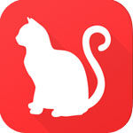 猫咪之家app