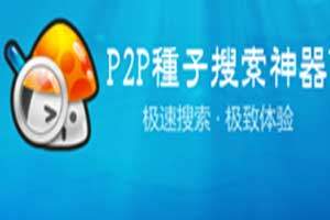 p2p种子搜索神器是什么 p2p种子搜索神器是干什么的