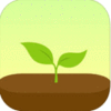 forest app游戏娱乐
