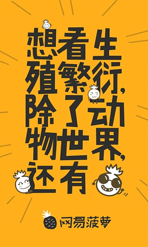 网易菠萝app