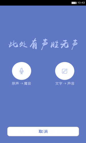 白白app