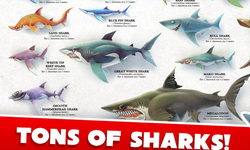 饥饿的鲨鱼世界