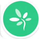 timetree app