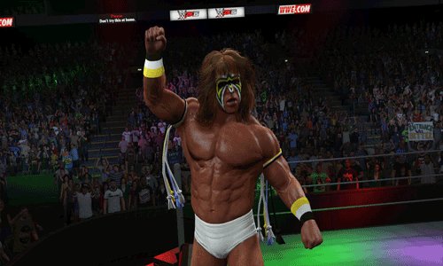 WWE2K15图五