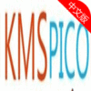 kmspico激活win8.1专业版工具