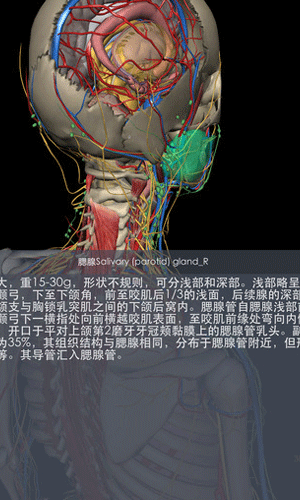 3dbody解剖软件7.6图五