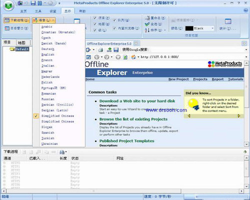 Offline Explorer Enterprise（离线浏览器） 中文版