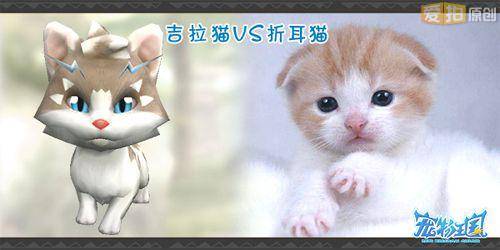 3D桌面宠物多猫