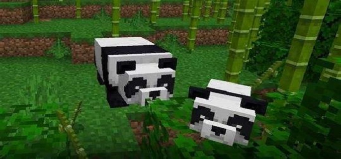 我的世界熊猫有什么用.jpg