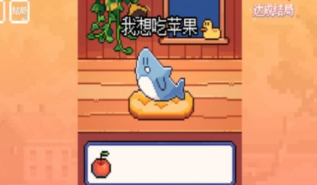 快乐的鲨鱼-我的小鲨鱼