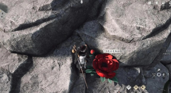 燕云十六声来生岸之一花中愿任务怎么做图四