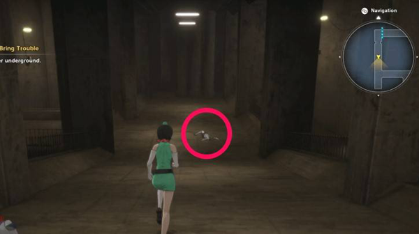 数码宝贝物语时空异客重聚带来麻烦任务怎么做图四 数码宝贝物语时空异客重聚带来麻烦任务怎么做图四