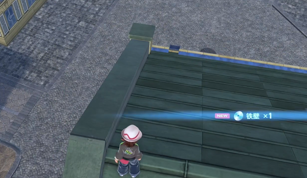 宝可梦传说ZA铁壁技能在哪图六