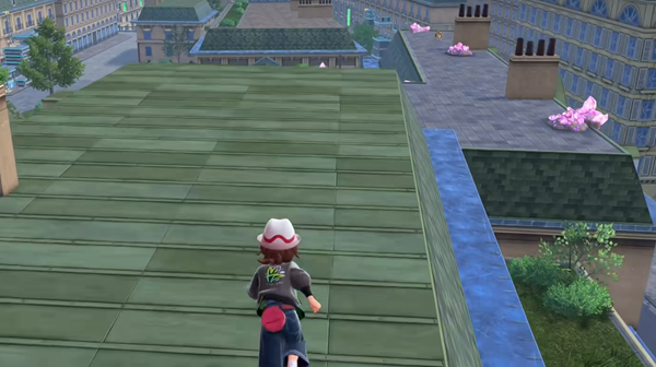 宝可梦传说ZA铁壁技能在哪图三