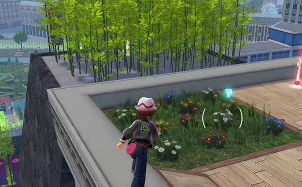 宝可梦传说ZA龙之波动技能在哪图四