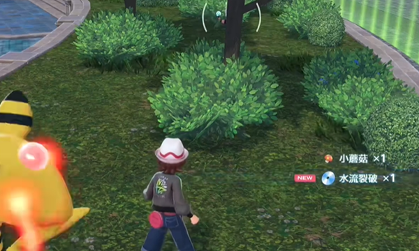 宝可梦传说ZA水流裂破技能在哪图七 宝可梦传说ZA水流裂破技能在哪图七