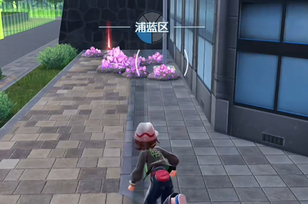 宝可梦传说ZA龙之波动技能在哪图三