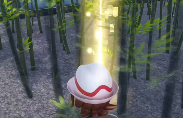 宝可梦传说ZA龙之波动技能在哪图六