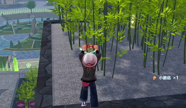 宝可梦传说ZA龙之波动技能在哪图五