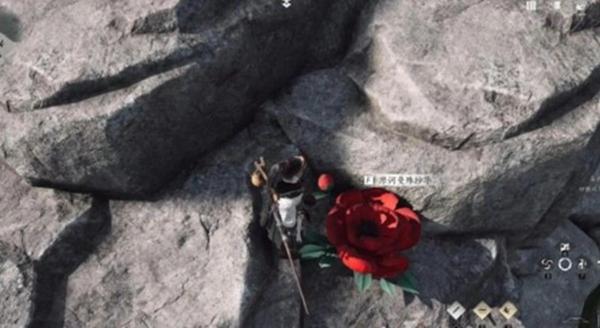 燕云十六声花魁任务怎么做图四 燕云十六声花魁任务怎么做图四