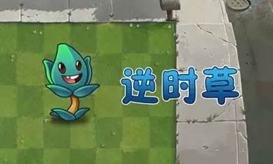 植物大战僵尸逆时草在什么地方使用