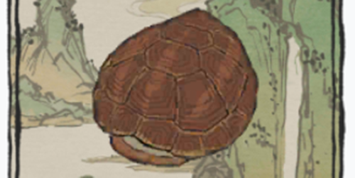 江南百景图龟壳有什么用