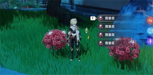原神智识之冕怎么获得
