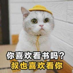 土味情话之微博套路情话大全