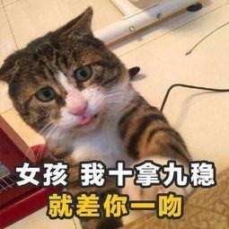 2018一问一答的套路情话表白~拯救你的不开心