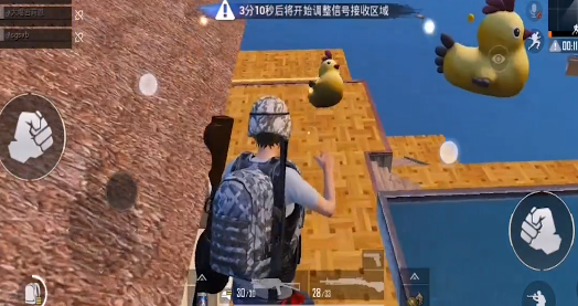 和平精英小黄鸡在哪？