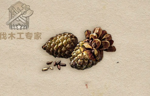 明日之后辐射高校版本新专属资源介绍(1)