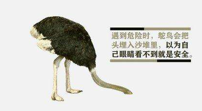 香肠派对新手会犯的错误一览(2)