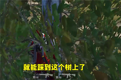 和平精英学校野区如何上树？(3)