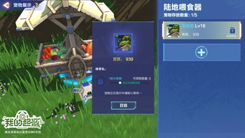 我的起源宠物派遣怎么玩？(2)