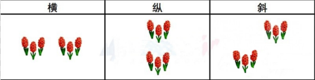 集合啦动物森友会花卉怎么杂交？花卉杂交攻略(8)