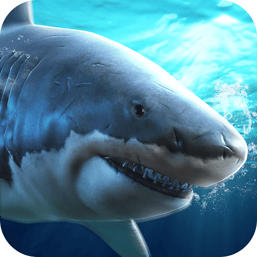 真实模拟鲨鱼捕食手机单机游戏